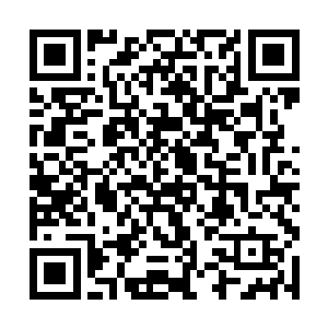 还是因为带着灵犀天牛一同前往断魂镇的修士透露的二维码生成