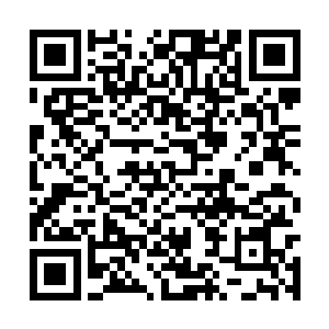 还是因为李家第三代的那些纨绔子弟的作风和霸道二维码生成