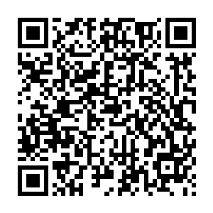 还是因为记住了强大的阿根廷1986年之后就再也没有能够夺得世界杯二维码生成