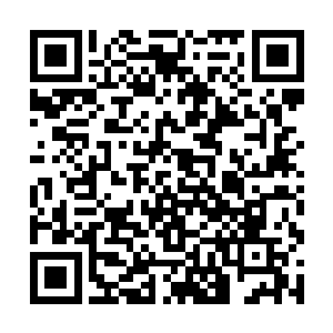 还是在兴奋他终于再次真实触摸到了表演梦想的初心二维码生成