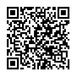 还是在场所有修士中最小的那一个――安慰的停止了哭泣二维码生成