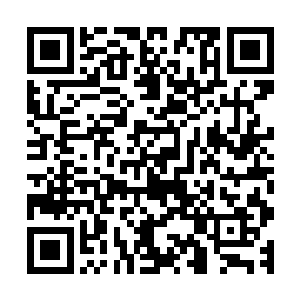 还是在悄悄去给孙老板的鱼塘倒含有小胖精元之水的时候……二维码生成