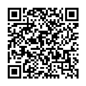 还是在第一次孤岛地宫里杀死了牛顿掉落了一点东西二维码生成