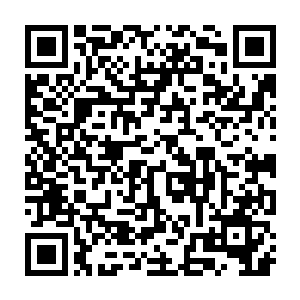 还是在边上的圣庭守卫此刻皆是不由的看向了苏凡还有地上的四个护套二维码生成