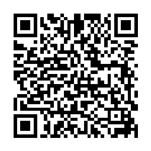 还是大意了……没想到格莱诺斯为了面子会亲自出手二维码生成