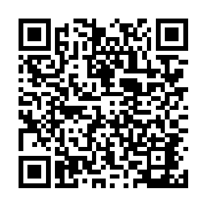 还是她自己从山河社稷图中引出来的闪电都是白色二维码生成