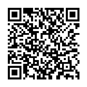 还是将龙族成员进化成真正的神龙这个贡献可是谁都无法替代的二维码生成