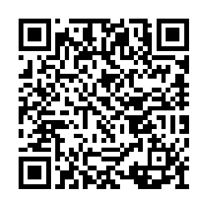 还是帮我这样已经画满了风景的画做修改更容易二维码生成