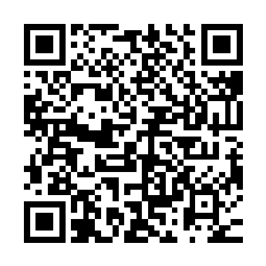 还是干脆利用伪无敌状态和自己强大的防御力硬抗那未知的风险二维码生成