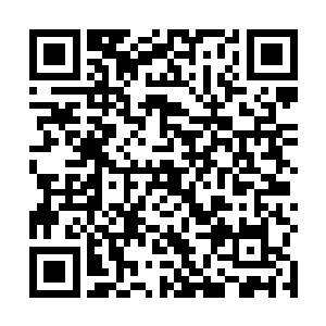 还是很坚决的流着泪将这个岩石罐子狠狠的砸在了地上二维码生成