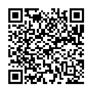 还是德鲁伊兽皮裸女有趣……德鲁伊不都是穿着兽皮吗二维码生成