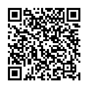 还是忍不住出手了……只是他自己不方便直接联系秦方二维码生成