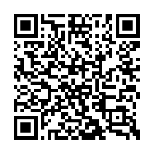 还是忍不住有些担忧的绷紧神经小心凑过去吱声二维码生成