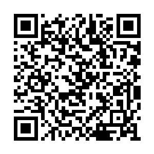 还是怀着各种心思乘机想拿下蓝星群岛的修真者二维码生成