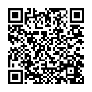 还是想当着这群一心希望大荒百姓安居乐业的官员们二维码生成