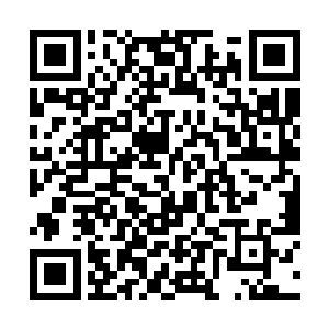 还是想要用两次幻剑天送他下地狱的我还是太过自信二维码生成