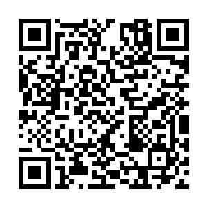 还是想让安少看看他看中的女人是多么的不堪一击二维码生成