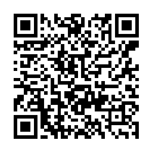 还是战国二队对前者进行打脸……就看这一场胜负了二维码生成