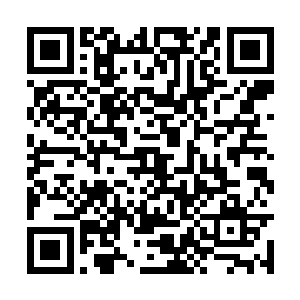 还是抓住它的爪子帮它也给烘干了身上不存在的水二维码生成
