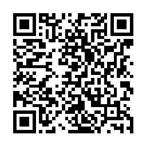 还是最近自己正宠爱的这名高级伴游女郎安妮塔贴心的陪伴二维码生成