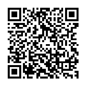 还是有一些机会的……只是某些人让秦方大大的倒了一回胃口二维码生成