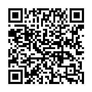 还是有不少官宦贵族之家将自己的女儿送到了采选队伍中二维码生成