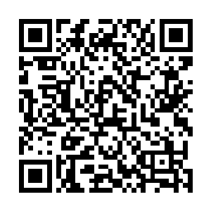 还是有很多冒险者偷偷进入千叶之森搜集一些不错的资源二维码生成