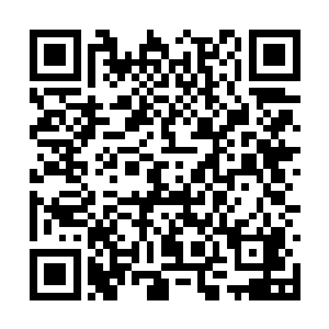 还是期待我会利用手中的权势干涉警方的处理结果二维码生成