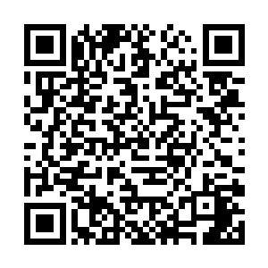 还是李谦的作更能让乐队的所有成员都一致表示喜爱二维码生成