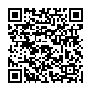 还是没有那个白痴领主教授的几个简单的刺杀动作二维码生成