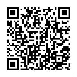 还是狼子野心的陈威廉……秦方个人倾向于后者二维码生成