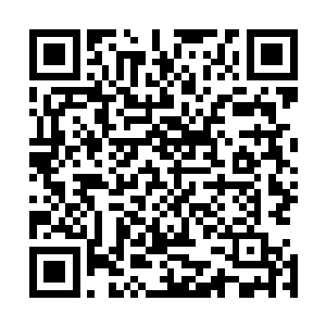 还是现场这炙热的灯光和灿烂的脸孔让所有景象都变得模糊二维码生成