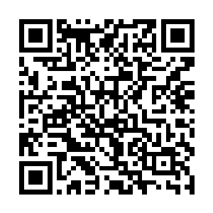 还是球场上的曼联球员们都已经做不出任何反应来了二维码生成