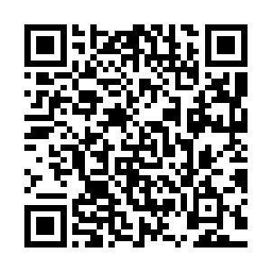 还是白露星人数以及知名度皆第一的帝国综合学院的优秀毕业生二维码生成