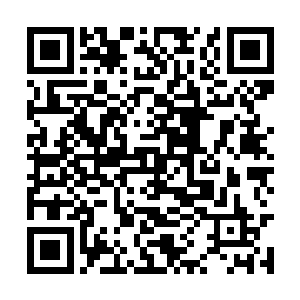 还是直接死掉……反正绝对不会是什么好事就对了二维码生成