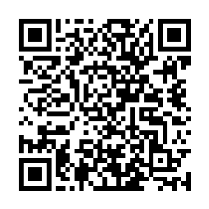 还是硬着头皮把自己所知道的豺狼人语都说了一遍二维码生成