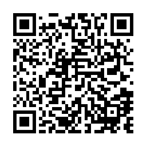 还是笑堂堂勋贵却被一个初出茅庐的姑娘打得这样措手不及二维码生成