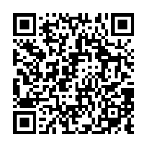 还是等这次任务回来以后去传功殿弄法决才到筑基二维码生成