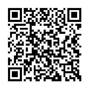 还是类似华能集团和劳伦斯家族这样的巨头之间二维码生成