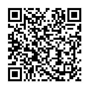 还是能够清楚的感应到孙元身上那澎湃的妖兽的气息的二维码生成