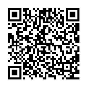 还是能够非常清晰的辨别出了眼前这片玄黄小世界的天道规则二维码生成