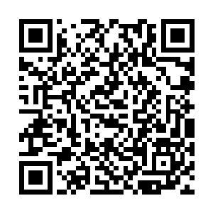 还是被一个不可能有交集的女明星带着些殷勤地喊二维码生成