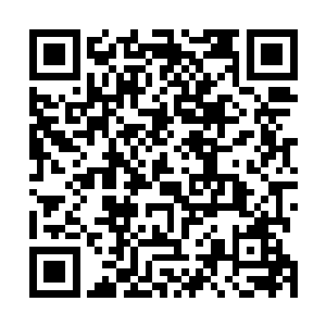 还是被一名姜阳勋从另外一天请来的神秘老者找到了方法二维码生成