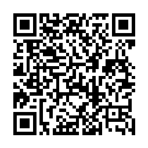 还是被狼吃了呢……某些人开口闭口说别人抹杀良心云云二维码生成