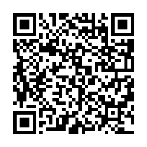 还是被陆非凡打败了的柯滕凯躺在地面上大口大口的喘着气二维码生成