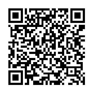 还是觉得我一个真仙没能力在东荒大陆本源分走太多好处二维码生成