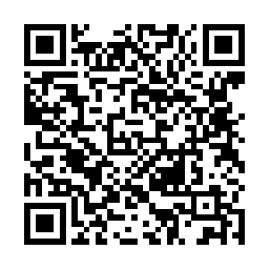 还是觉得让南宫流皓跟南宫流云两兄弟直接沟通比较好二维码生成