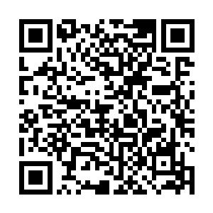 还是说你打算将修为压制到和我同样的层次再与我一战二维码生成