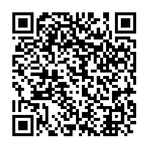 还是说我们精明能干的李大小姐此刻已经再也没有了以往的镇定了二维码生成