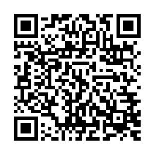 还是说有的人不承认白芷璃同学这一次参加比赛就是在作弊呢二维码生成